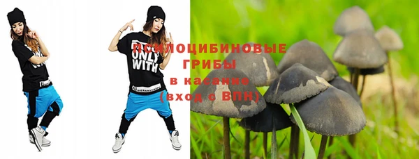 соль ск Богородицк