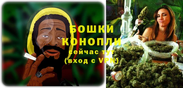 mix Богородск