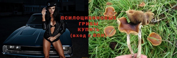 соль ск Богородицк