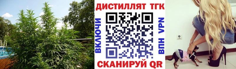 ТГК Wax  Купить где  Пыть-Ях 